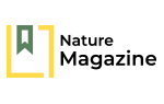 Brand Image 4